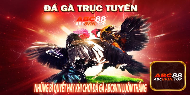 Những Bí Quyết Hay Khi Chơi Đá Gà abc8vin Luôn Thắng