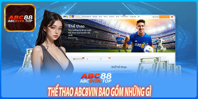 Thể Thao abc8vin Bao Gồm Những Gì
